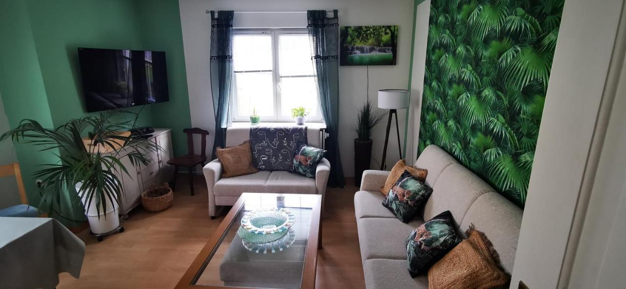 פרוידנשטאדט Ferienwohnung Palmenwald מראה חיצוני תמונה