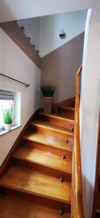 פרוידנשטאדט Ferienwohnung Palmenwald מראה חיצוני תמונה